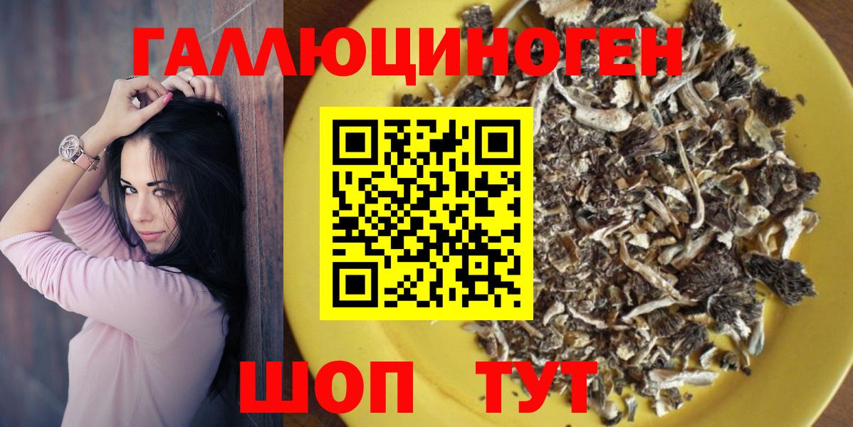 Псилоцибиновые грибы прущие грибы Большой Камень