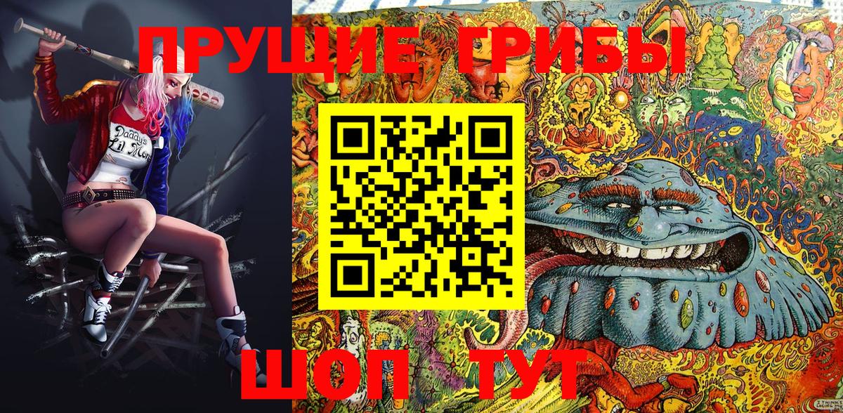 Галлюциногенные грибы Cubensis  Вход с VPN  где купить наркотик  Большой Камень 