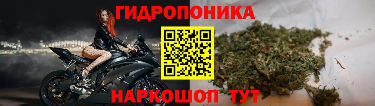 Бошки Шишки планчик Большой Камень